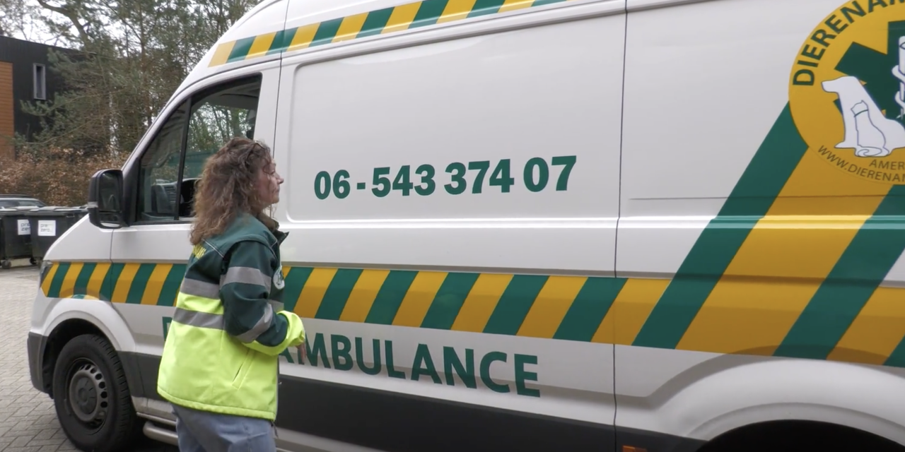 Meer jonge dieren in de lente: wanneer ingrijpen?