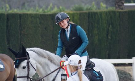 Paardensport groeit, KNHS aantallen dalen