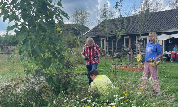Natuurcoach Elja Binnema spreekt zich uit over de gevaren voor de bijen in de Amersfoortse natuur.