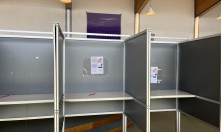 De stemwijzer beslist mee