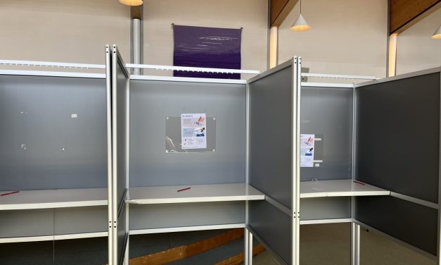 De stemwijzer beslist mee