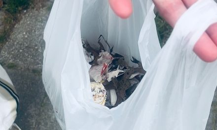 Mevrouw draagt bij aan een duurzaam Amersfoort