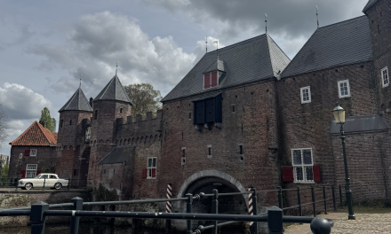 Bedrijven voor maatschappelijke hulp