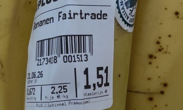 Gemiddelde percentage overgewicht onder kinderen maskeert verschillen tussen wijken