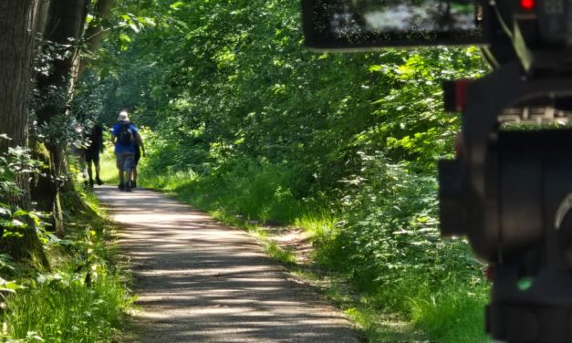 Wandelen bij 32 graden: ‘Het is geen wedstrijd, het is gewoon lekker genieten’