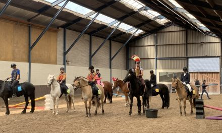 Prinses Maxima Manege in Den Dolder haalt beste paarden van stal tijdens open dag