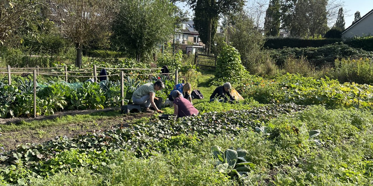 10-jarig jubileum van buurtmoestuin de Biltse Biet