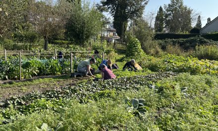 10-jarig jubileum van buurtmoestuin de Biltse Biet