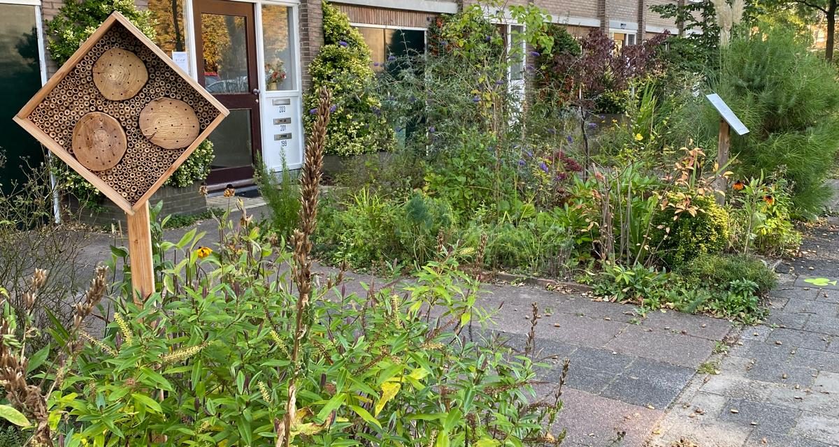 Gouden Eekhoorn en Groen Lintje voor Leny Hoogteijling