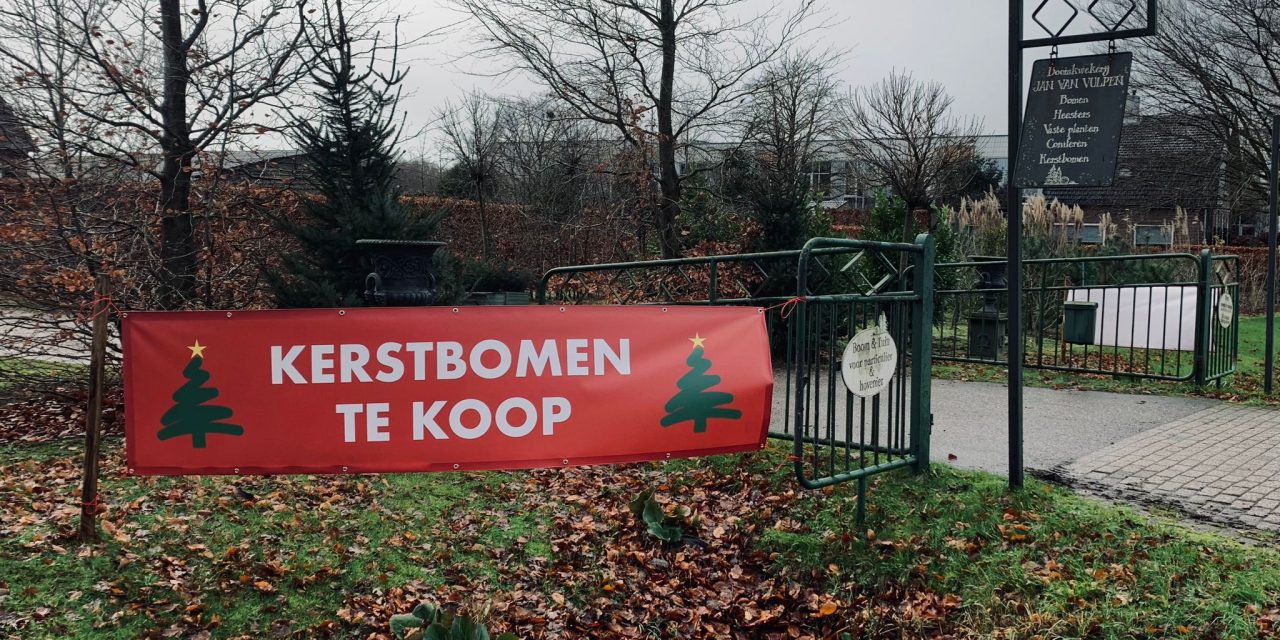 Kerstboom kweker Jan van Vulpen start zijn kerstbomen verkoop voor dit seizoen