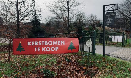 Kerstboom kweker Jan van Vulpen start zijn kerstbomen verkoop voor dit seizoen