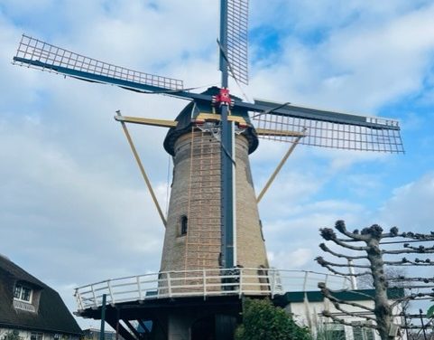 Gerestaureerde korenmolen Geesina draait na drie jaar weer