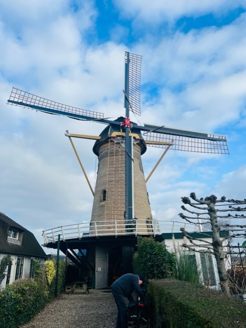 Gerestaureerde korenmolen Geesina draait na drie jaar weer