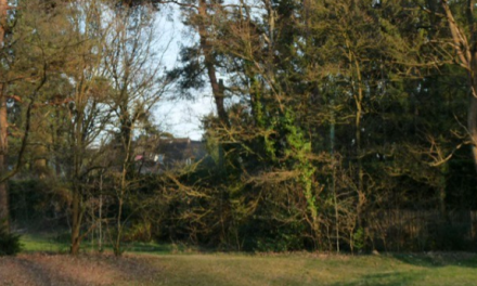 De Bilt blinkt uit: Opleidingsniveau ver boven landelijk gemiddelde