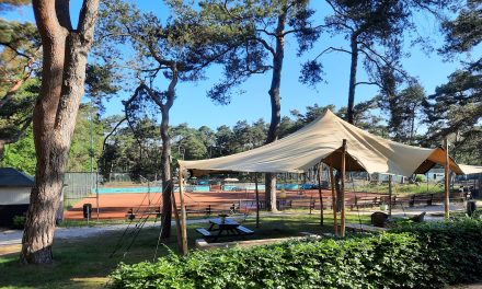 Tennisclub Bilthoven breidt uit met vier padelbanen: ‘Padel is de toekomst van onze club’
