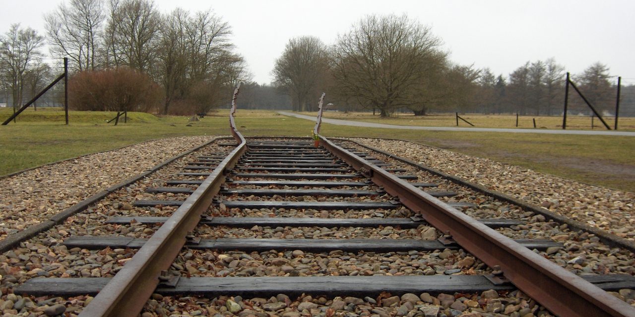 Beschermd: Prentenboeken als lesmateriaal over de Holocaust: ‘Kinderen weten niet waar ze het over hebben’