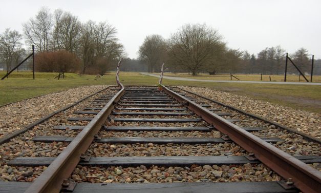 Beschermd: Prentenboeken als lesmateriaal over de Holocaust: ‘Kinderen weten niet waar ze het over hebben’