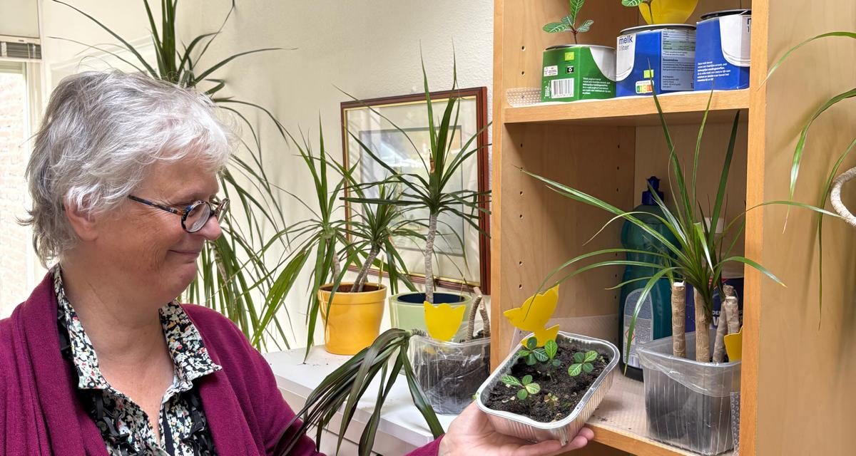Culemborg verwelkomt nieuwe klimaatburgemeester