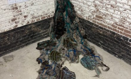 “De tegenstrijdigheid tussen land en water inspireert mij elke dag”
