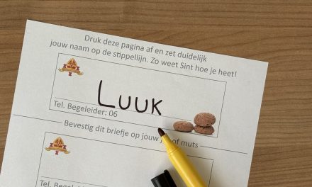 Culemborgse intocht krijgt persoonlijke aanpak: Sint vraagt kinderen om naamkaartjes