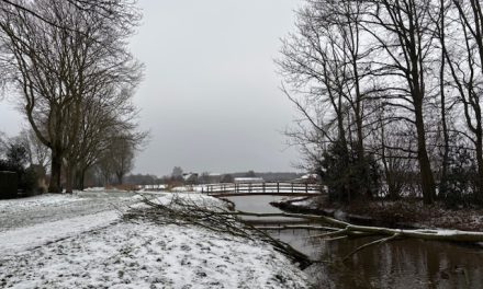 De effecten van hevige sneeuw op het Utrechts Landschap