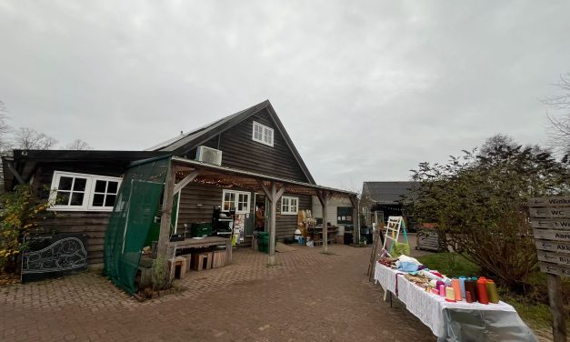 Is huren het nieuwe kopen? Een interview over de duurzame huur kerstbomen van Caetshage