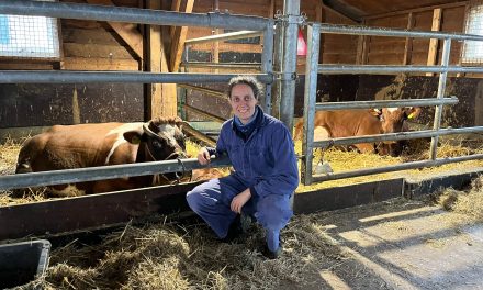 Boerin Samyre Wieles over haar werk bij de kinderboederij