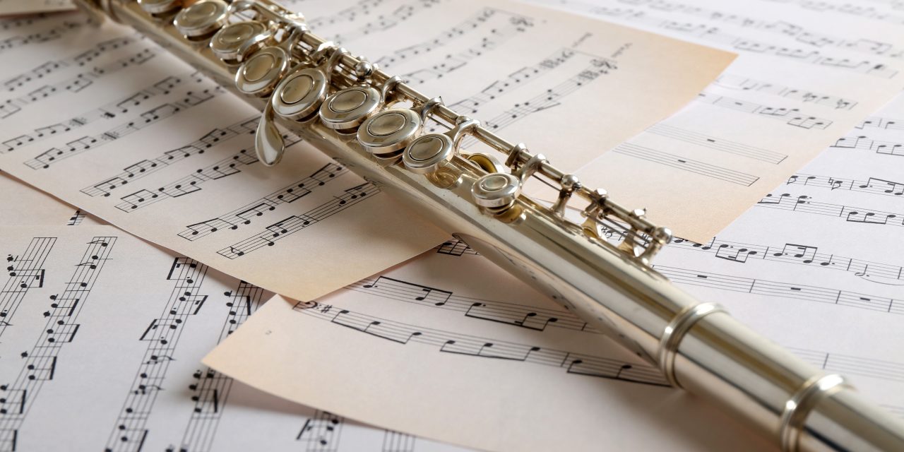 Samen muziek maken op Landelijke Dwarsfluitdag