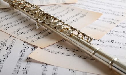 Samen muziek maken op Landelijke Dwarsfluitdag