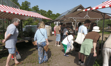 Planten delen in plaats van kopen: ruilmarkt brengt Culemborgse tuinliefhebbers samen