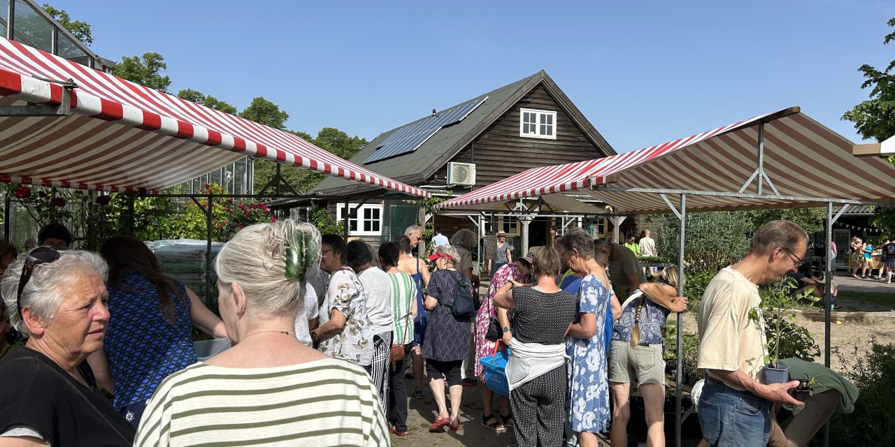 Meer dan planten: plantjesruilmarkt brengt mensen samen
