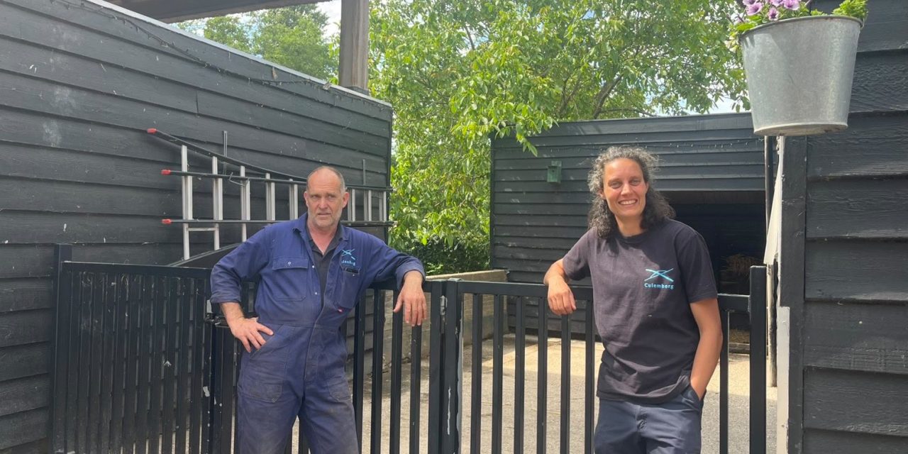 Schapen ingeënt op Kinderboerderij De Heuvel: voorbereiding op het Schaapscheerderfeest