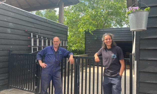 Schapen ingeënt op Kinderboerderij De Heuvel: voorbereiding op het Schaapscheerderfeest