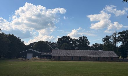 Kritiek van twee kanten op nieuwe stikstofplannen, onzekerheid voor boeren rond Culemborg blijft