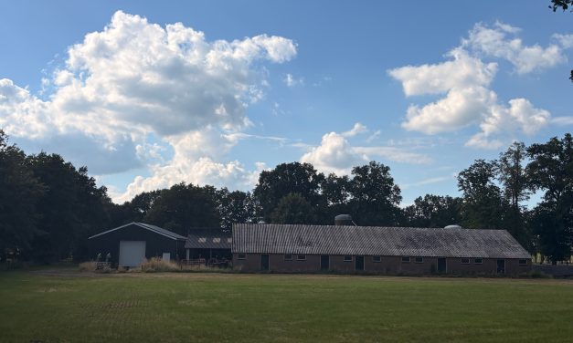 Kritiek van twee kanten op nieuwe stikstofplannen, onzekerheid voor boeren rond Culemborg blijft