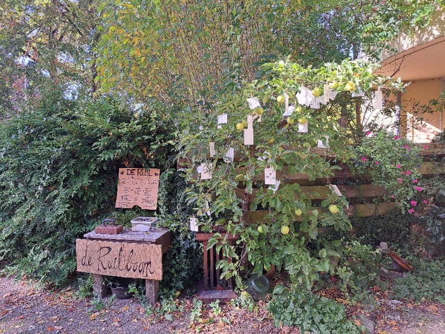 Appelboom biedt meer dan enkel fruit
