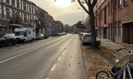 Oorzaak en gevolgen van verkeersdrukte in de Willem van Noortstraat