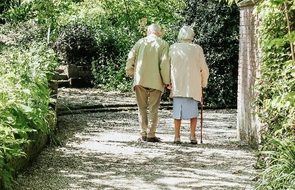 Vergrijzing in Nederland flink gestegen: regionale verschillen zorgen voor uitzondering in gemeente Bergen