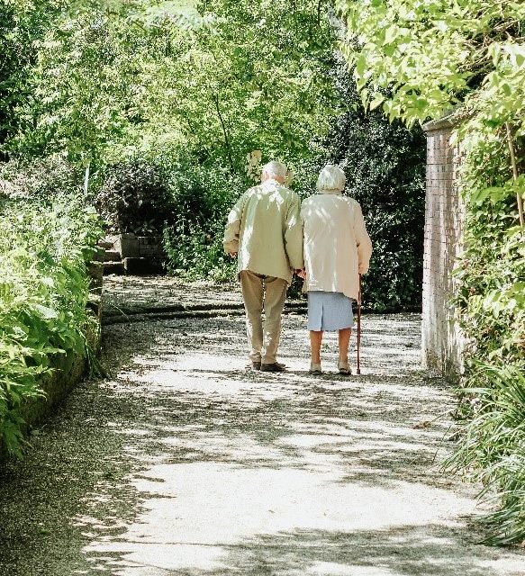 Vergrijzing in Nederland flink gestegen: regionale verschillen zorgen voor uitzondering in gemeente Bergen