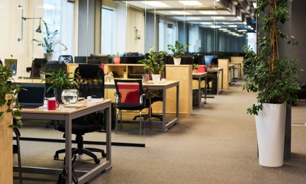 Nepplanten domineren in HU-gebouw: maar wat is duurzamer, plastic of echt groen?