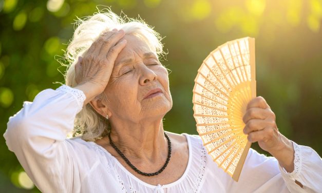Waar hitte en vergrijzing elkaar kruisen: de kwetsbare wijken van Utrecht