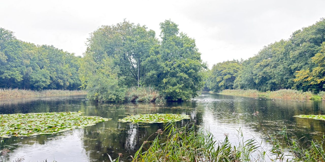 Actiever handhaven op hondenverbod rond Biltsche Meertje