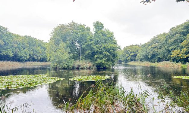Actiever handhaven op hondenverbod rond Biltsche Meertje