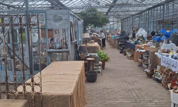 Kas Brocante in Groenekan keert zaterdag terug met jaarlijkse najaarseditie