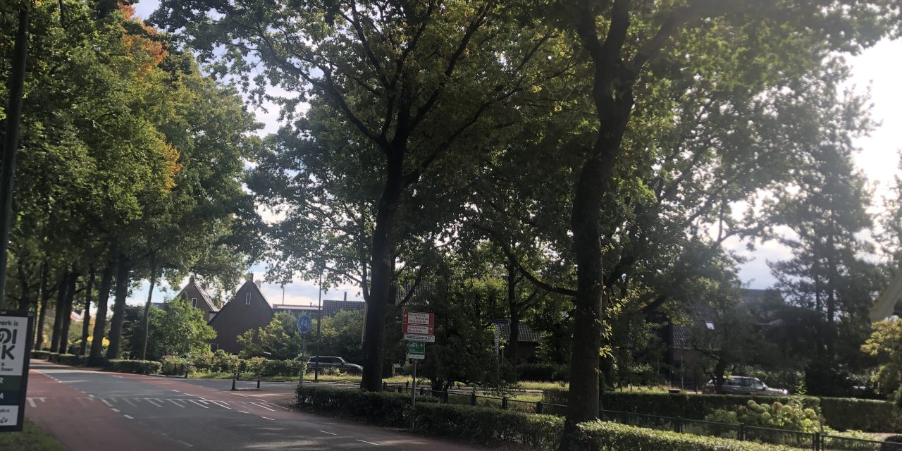 Na tien jaar eindelijk actie voor gevaarlijke kruising Dorpsweg–Nachtegaallaan