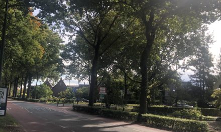 Na tien jaar eindelijk actie voor gevaarlijke kruising Dorpsweg–Nachtegaallaan