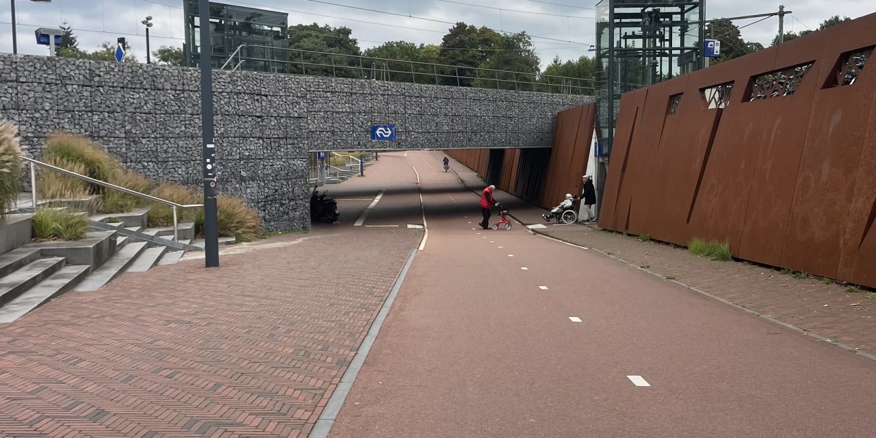 Één voor alle, en alle voor één tijdens de week van eenzaamheid in De Bilt