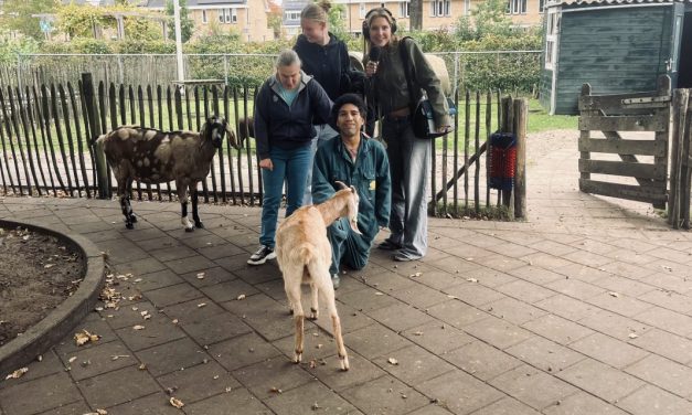 Kinderboerderij de Schaapskooi in De Bilt zet de dieren in het zonnetje op Dierendag