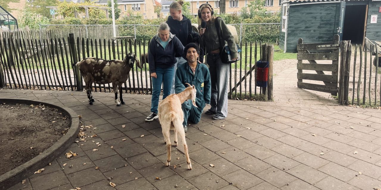 Kinderboerderij de Schaapskooi in De Bilt zet de dieren in het zonnetje op Dierendag
