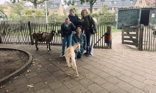 Kinderboerderij de Schaapskooi in De Bilt zet de dieren in het zonnetje op Dierendag